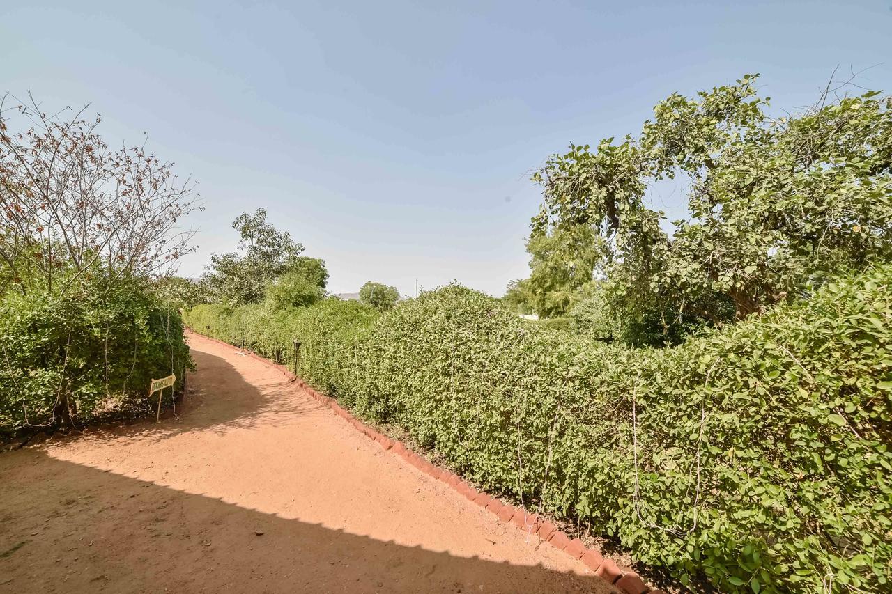Pushkar Rajwara Resort מראה חיצוני תמונה