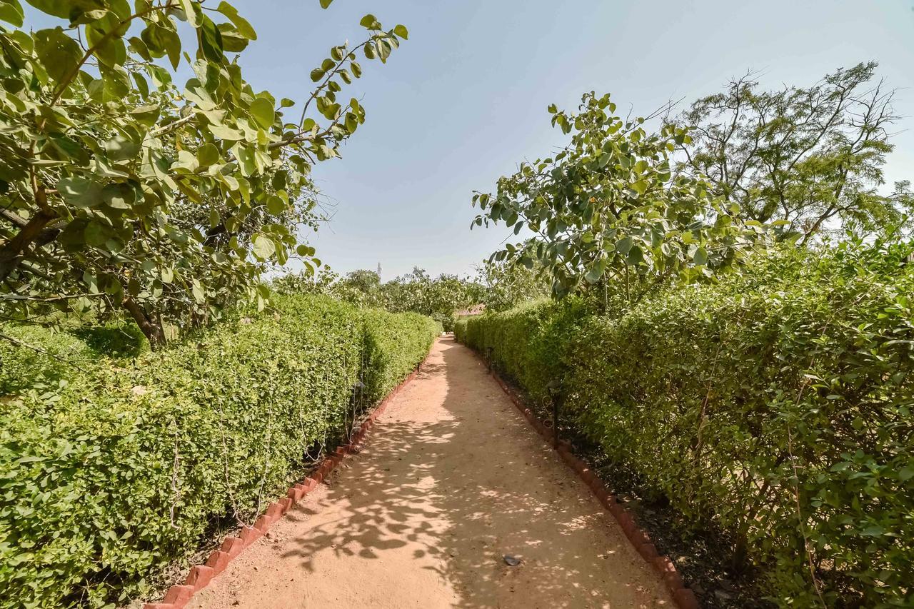 Pushkar Rajwara Resort מראה חיצוני תמונה